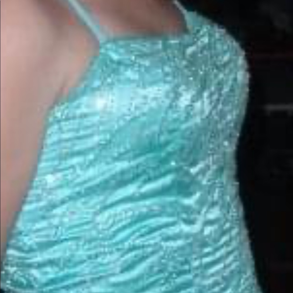 Pageant/ Prom Dress - Picture 5 of 5